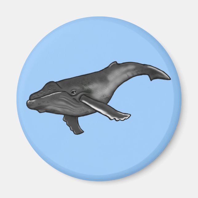 Imán ballena jorobada (Frente)
