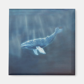 Imán Ballena por debajo