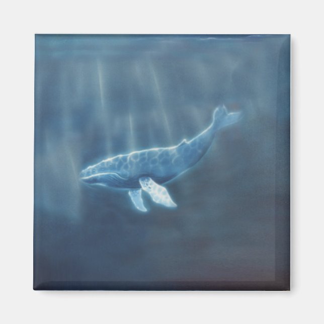 Imán Ballena por debajo (Frente)