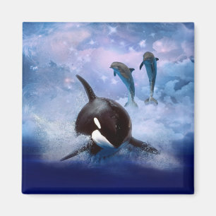 Imán Ballena y delfínes soñadores