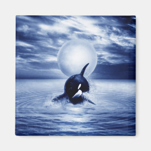 Imán Ballena y la luna en 2012