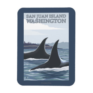 Imán Ballenas #1 - isla de San Juan, Washington de la