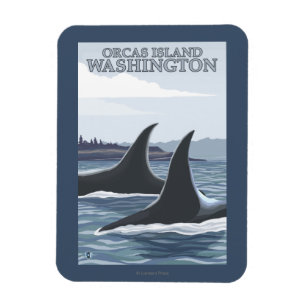 Imán Ballenas #1 - orcas isla, Washington de la orca