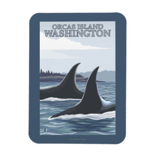 Imán Ballenas #1 - orcas isla, Washington de la orca