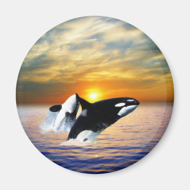 Imán Ballenas al atardecer (Frente)