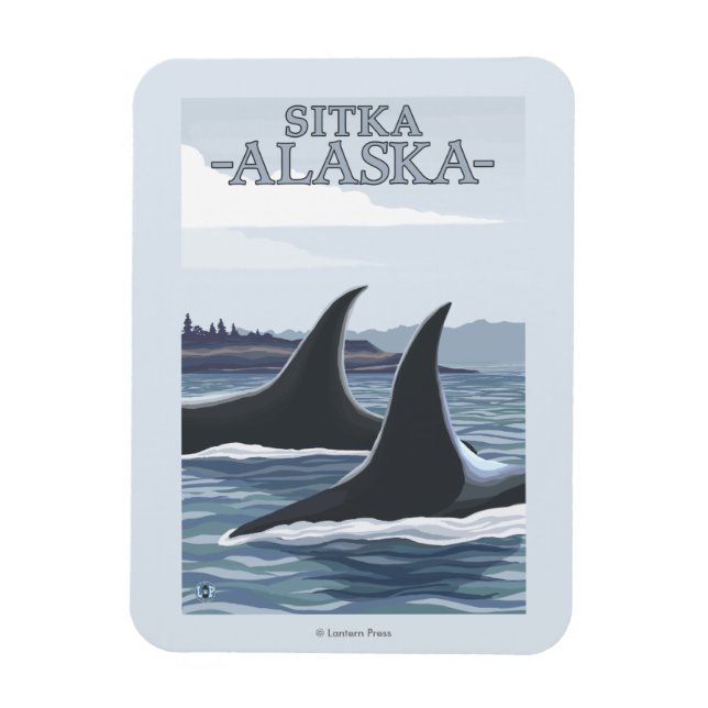 Imán Ballenas orcas #1 - Sitka, Alaska (Vertical)