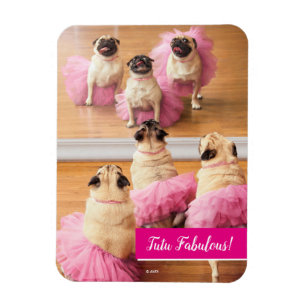 Imán Ballerina Pugs En Tutus