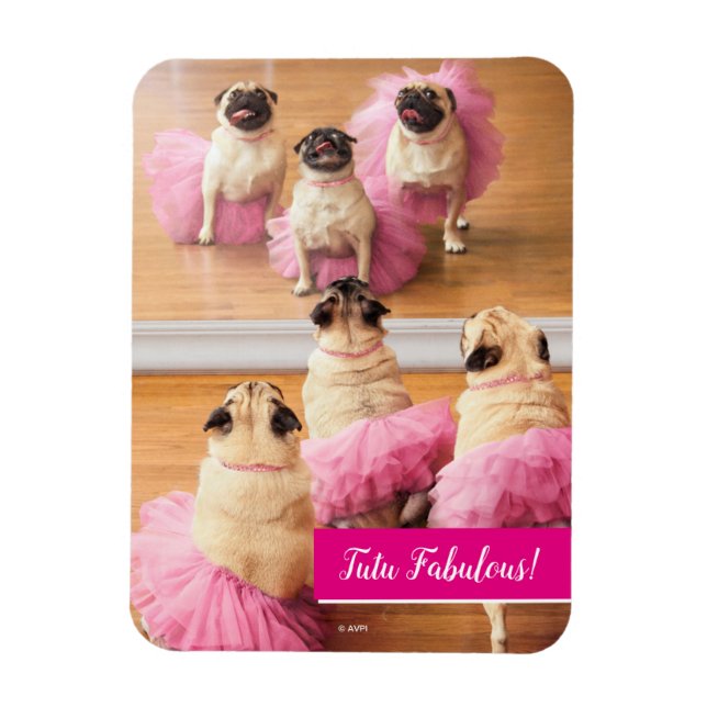 Imán Ballerina Pugs En Tutus (Vertical)