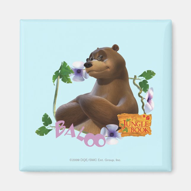Imán Baloo 2 (Frente)