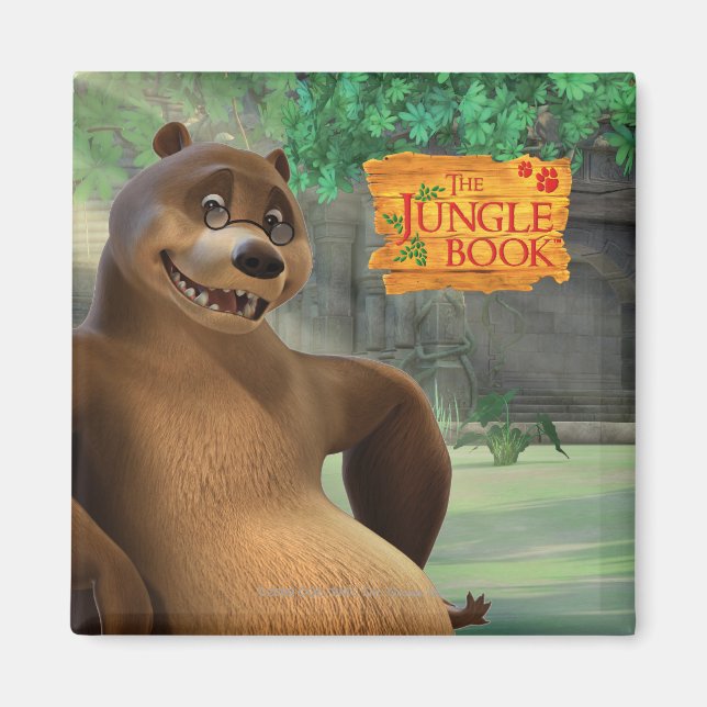 Imán Baloo 5 (Frente)