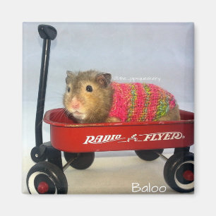 Imán Baloo en su carro rojo