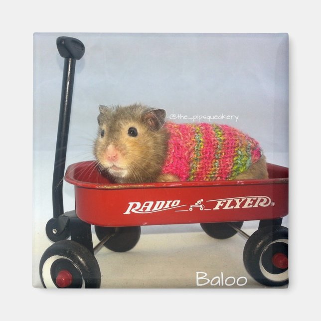 Imán Baloo en su vagón rojo (Frente)