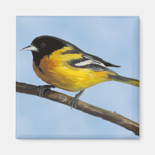 imán Baltimore Oriole