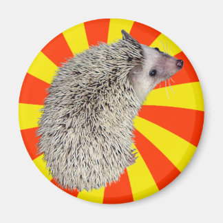 Imán ¡BAM! Hedgehog Magnet 2