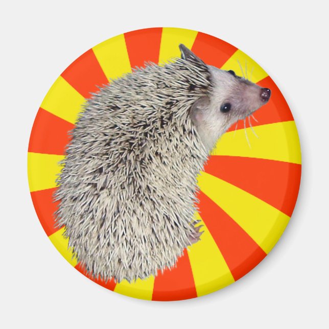 Imán ¡BAM! Hedgehog Magnet 2 (Frente)