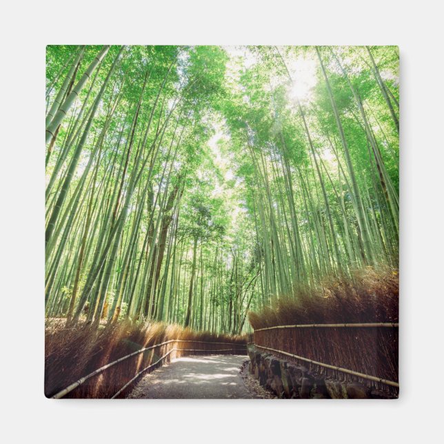 Imán Bamboo Grove | Arashiyama, Kioto, Japón (Frente)