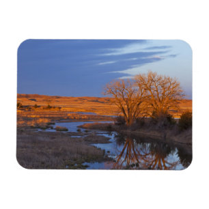 Imán Bañado por la luz del atardecer el río Calamus