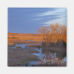 Imán Bañado por la luz del atardecer el río Calamus