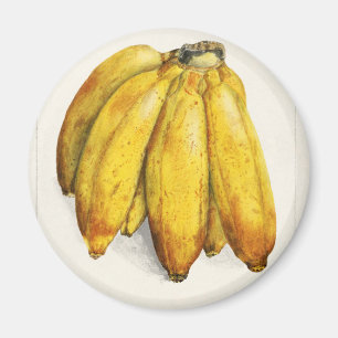 Imán Banana