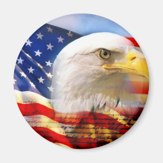Imán Bandera americana águila calva