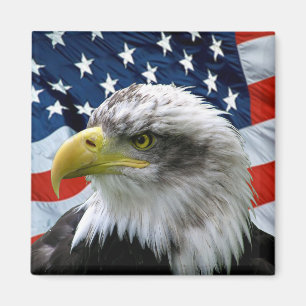 Imán Bandera americana calva patriótica de Eagle