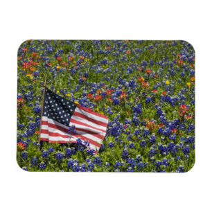 Imán Bandera americana en campo de Bonetas Azules, 2