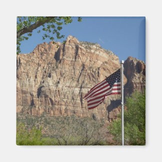 Imán Bandera Americana en Zion National Park I