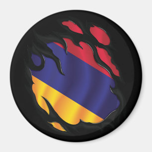 Imán Bandera arrancada de Armenia