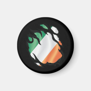 Imán Bandera arrancada de Irlanda