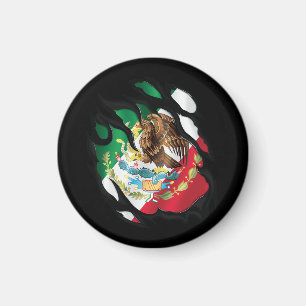 Imán Bandera arrancada de México