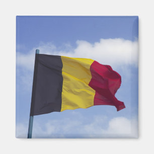 Imán Bandera belga RF)