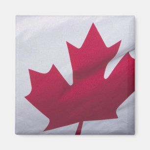 Imán Bandera canadiense.