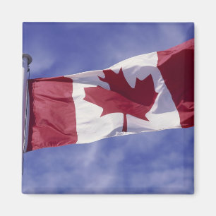 Imán Bandera canadiense