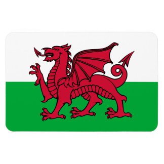 Imán Bandera Celta del Dragón Rojo de Gales y galés