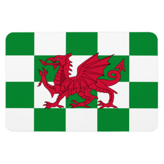 Imán Bandera Celta Dragón Rojo Místico de Gales