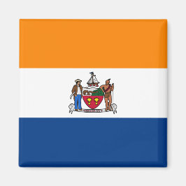Imán Bandera de Albany (Nueva York)