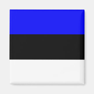 Imán Bandera de alta calidad de Estonia