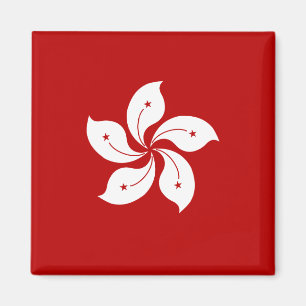 Imán Bandera de alta calidad de Hong Kong
