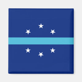 Imán Bandera de Anaheim (California, Estados Unidos)