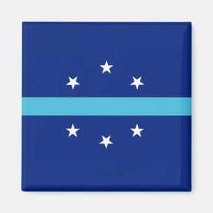 Imán Bandera de Anaheim (California, Estados Unidos)