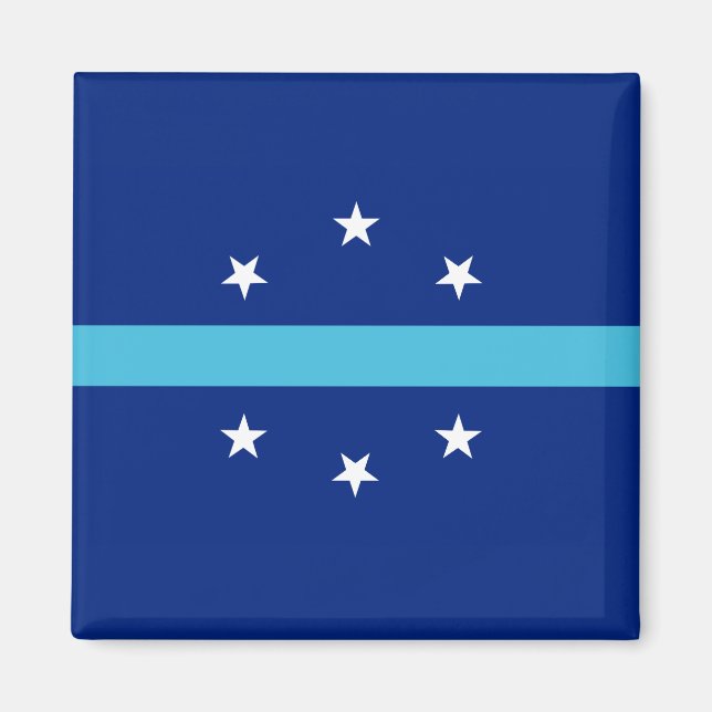Imán Bandera de Anaheim (California, Estados Unidos) (Frente)