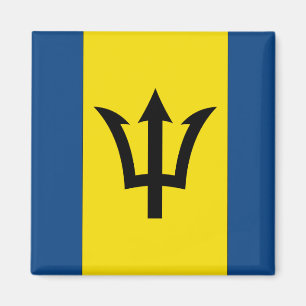 Imán Bandera de Barbados