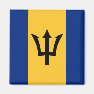 Imán Bandera de Barbados