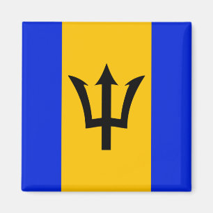 Imán Bandera de Barbados