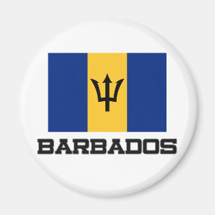 Imán Bandera de Barbados