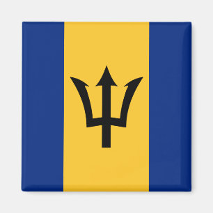 Imán Bandera de Barbados