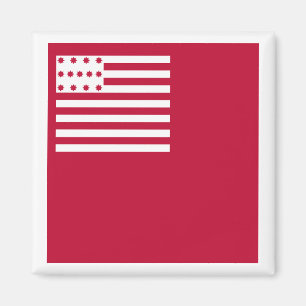 Imán Bandera de Brandywine