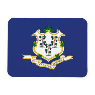 Imán Bandera de estado de Connecticut
