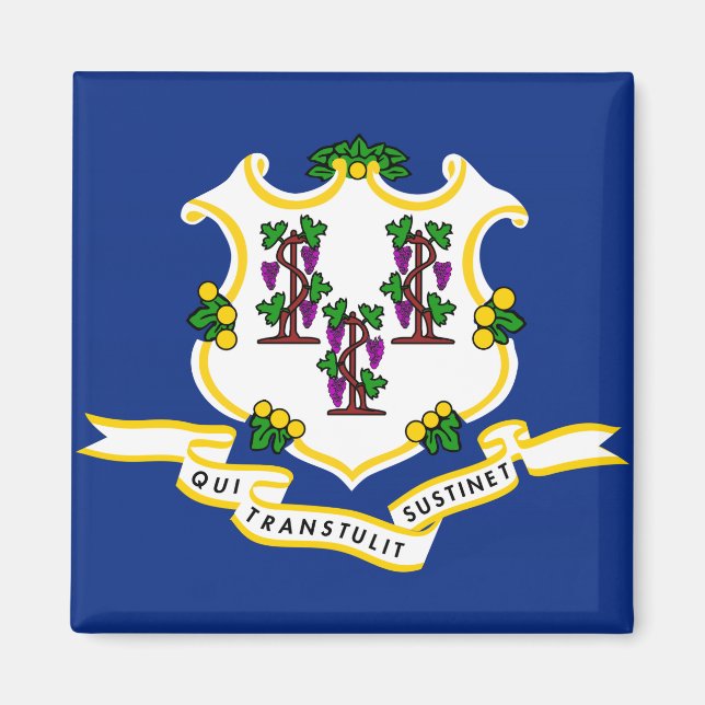 Imán Bandera de estado de Connecticut (Frente)
