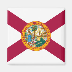 Imán Bandera de Florida